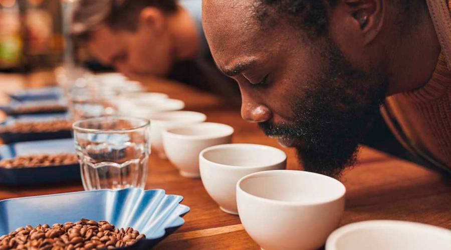 Discover secrets of Dominican flavors with our free tasting. Discover secrets of Dominican flavors with our free tasting.