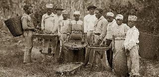 COFFEE HISTORY