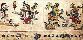 HISTORIA DEL CACAO