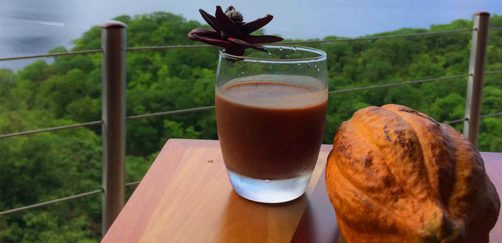 TÉ DE CACAO TÉ DE CACAO