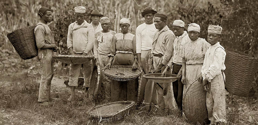 HISTORIA DEL CAFÉ HISTORIA DEL CAFÉ