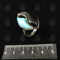 LT anillo 10P PT C/L 30342